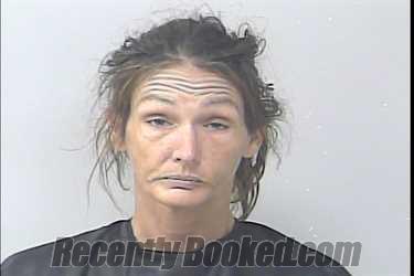 Mugshot of Amanda Lee Miller