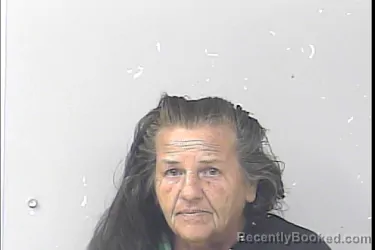 Mugshot of Sharon Kay Quinlin booked in St Lucie County, Florida on July 12, 2026