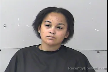 Mugshot of Vina Annette Occhipinti booked in St Lucie County, Florida on September 10, 2026