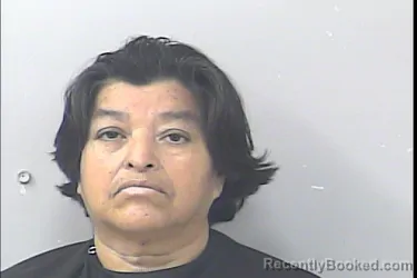 Mugshot of Maria Hernandez booked in St Lucie County, Florida on March 28, 2026