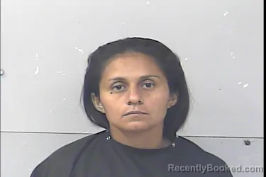 Mugshot of Norma Irene Saballos Alvarado booked in St Lucie County, Florida on June 24, 2026