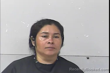 Mugshot of Ester Flores booked in St Lucie County, Florida on September 10, 2026