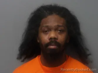 Mugshot of MICHAEL MCDOWELL