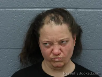 Mugshot of VANESSA SANTOLI booked in Cuyahoga County, Ohio on March 28, 2026