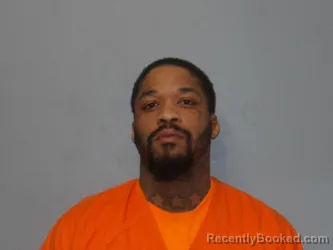 Mugshot of DAVID BRABSON