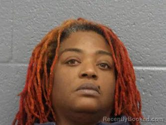 Mugshot of SIERRA MEYERS booked in Cuyahoga County, Ohio on March 15, 2026