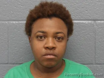 Mugshot of AMETHYST MENEFEE booked in Cuyahoga County, Ohio on May 10, 2026