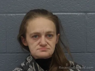 Mugshot of AMANDA OZANICH