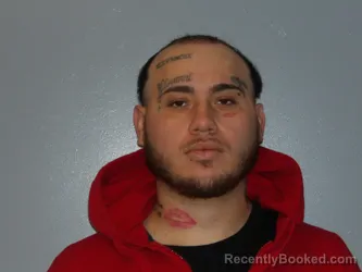Mugshot of JUAN FERRARIS