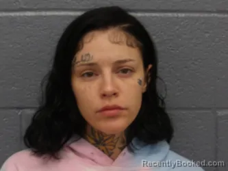 Mugshot of TABATHA SANTIAGO booked in Cuyahoga County, Ohio on July 22, 2026