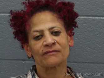 Mugshot of TINA ECHOLS booked in Cuyahoga County, Ohio on May 31, 2026