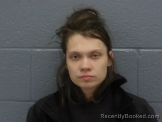 Mugshot of AMANDA HOLOCKER