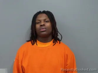 Mugshot of DAMARION LEWIS