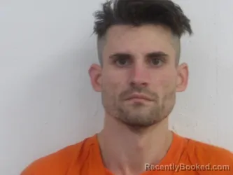 Mugshot of RYAN KRICKLER