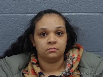 Mugshot of BRITTANY JOHNSON