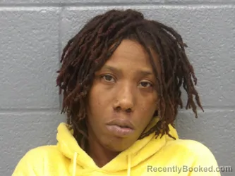Mugshot of DANIELLE STINSON