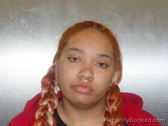 Mugshot of Janell Murphy booked in Cuyahoga County, Ohio on September 5, 2026
