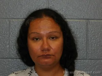 Mugshot of Yumisi Fernandez booked in Cuyahoga County, Ohio on September 8, 2026