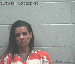Mugshot of DANIELLE MARIE CEDILLO booked in Crawford County, Ohio on June 2, 2026