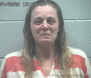 Mugshot of KIMBERLY DANIELLE FOX booked in Crawford County, Ohio on August 4, 2026