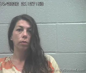 Mugshot of AMY LEE PERKINS booked in Crawford County, Ohio on July 14, 2026