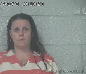 Mugshot of Ashley Marie Goughenour booked in Crawford County, Ohio on August 27, 2026