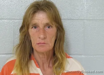 Mugshot of CONNIE KAY BURDGE booked in Crawford County, Ohio on July 10, 2026