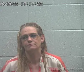 Mugshot of NICOLE L JOHNSTON booked in Crawford County, Ohio on June 14, 2026