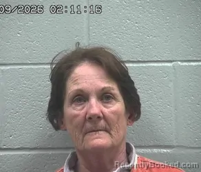 Mugshot of MEGAN FLANAGAN