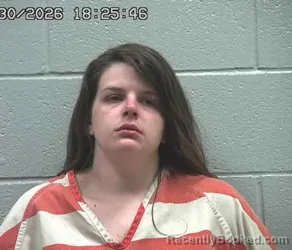 Mugshot of ERIKA FUNFGELD