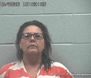Mugshot of AMY RENEE WILSON booked in Crawford County, Ohio on May 13, 2026