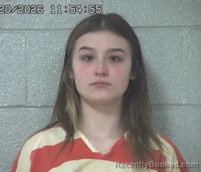 Mugshot of MCKINSEY MARIE HAMILTON booked in Crawford County, Ohio on March 20, 2026