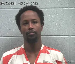 Mugshot of LIBAN BASHIR AYANLE booked in Crawford County, Ohio on March 30, 2026