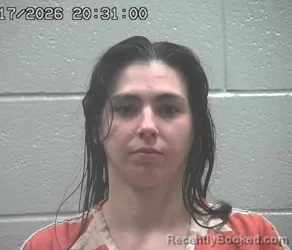 Mugshot of HARLEY MICHELLE JENKS booked in Crawford County, Ohio on June 17, 2026