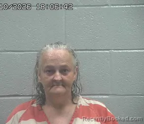 Mugshot of SHEILAH PAULINE GETTER booked in Crawford County, Ohio on June 10, 2026
