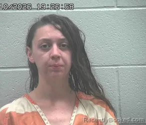 Mugshot of ASHLEY M CRISSINGER booked in Crawford County, Ohio on July 10, 2026