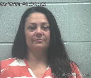Mugshot of SHONDA HELTON booked in Crawford County, Ohio on July 20, 2026