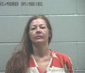 Mugshot of DEANN NICOLE BROWN booked in Crawford County, Ohio on July 1, 2026