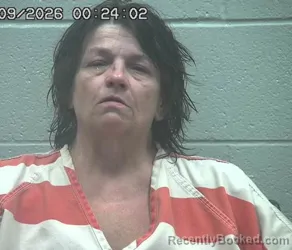 Mugshot of DAWN ANNETTE BADER booked in Crawford County, Ohio on July 8, 2026