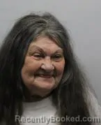 Mugshot of LOIS J FOWBLE booked in Darke County, Ohio on June 20, 2026