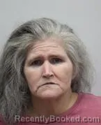 Mugshot of CHRISTY LEE THORNBURG booked in Darke County, Ohio on August 1, 2026