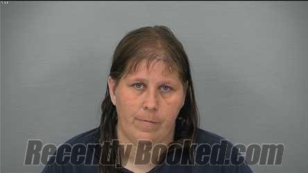Booking photo from Delaware County, Ohio