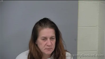 Mugshot of EMMIE JO LOWERY