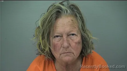 Booking photo from Delaware County, Ohio