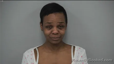 Mugshot of WHITNEY AMBER FERGUSON