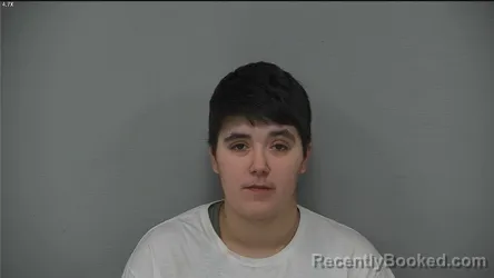 Mugshot of ELIZABETH MARIA SANTILLAN