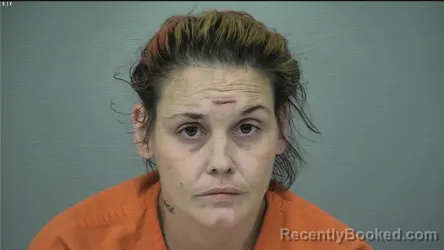 Mugshot of PATRICIA LYNN RIVERA-CASTILLO booked in Delaware County, Ohio on March 12, 2026