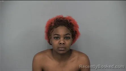 Mugshot of ALANA DARLENE MARIE TURNER-JOHNSON booked in Delaware County, Ohio on March 18, 2026