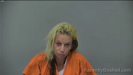 Mugshot of ASHLEY NICOLE SHEETS booked in Delaware County, Ohio on March 18, 2026