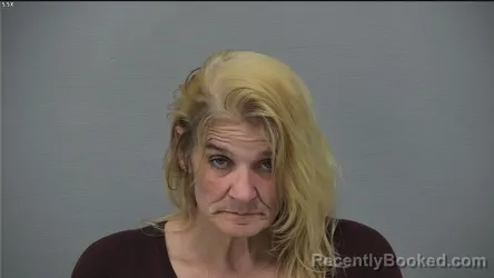 Mugshot of CARLENA JO LAYCOCK booked in Delaware County, Ohio on March 24, 2026